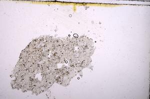 Plane Polarized, E41127