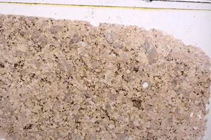 Plane Polarized, E41132/A