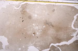 Plane Polarized, E41157