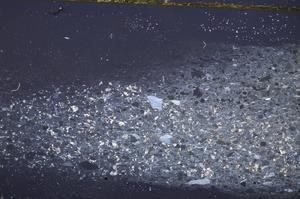 Cross Polarized, E41162