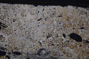 Cross Polarized, E41265