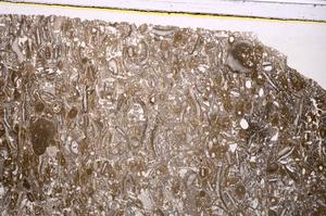 Plane Polarized, E41283