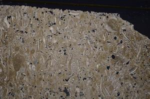 Cross Polarized, E41283