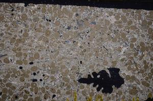 Cross Polarized, E41284