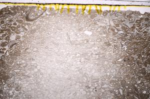 Plane Polarized, E41285