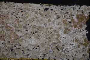 Cross Polarized, E41286