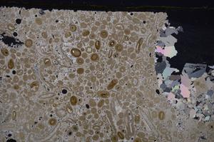 Cross Polarized, E41289