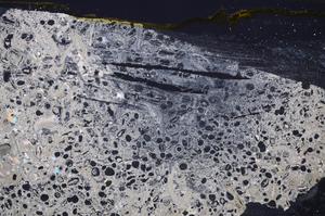 Cross Polarized, E41291