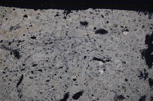 Cross Polarized, E41299