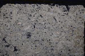 Cross Polarized, E41300