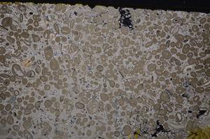 Cross Polarized, E41301