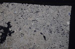 Cross Polarized, E41302