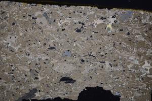 Cross Polarized, E41303