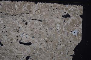 Cross Polarized, E41305