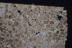 Cross Polarized, E41306/A