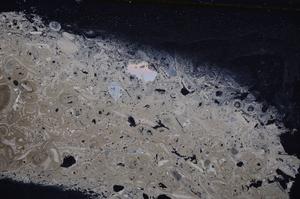 Cross Polarized, E41308