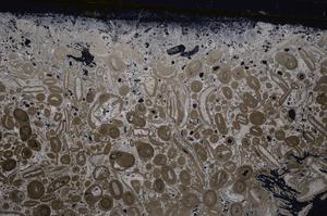 Cross Polarized, E41309