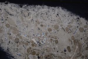 Cross Polarized, E41313