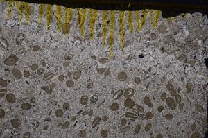 Cross Polarized, E41315