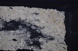 Cross Polarized, E41316