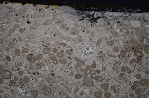 Cross Polarized, E41318