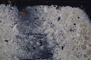 Cross Polarized, E41319