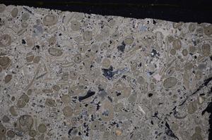 Cross Polarized, E41320