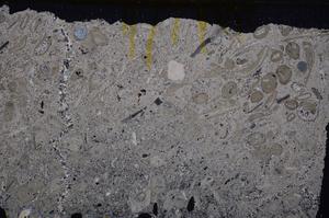 Cross Polarized, E41321