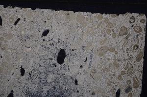 Cross Polarized, E41322