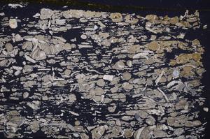 Cross Polarized, E41325