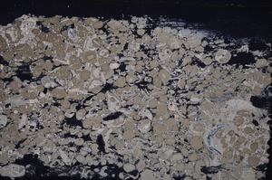 Cross Polarized, E41328