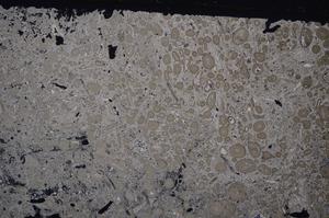 Cross Polarized, E41329