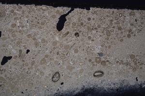 Cross Polarized, E41330