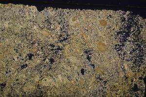 Cross Polarized, E41333