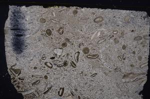 Cross Polarized, E41334