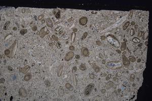 Cross Polarized, E41335