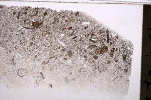Plane Polarized, E41336