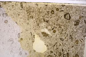 Plane Polarized, E41337