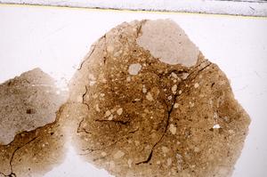 Plane Polarized, E41340