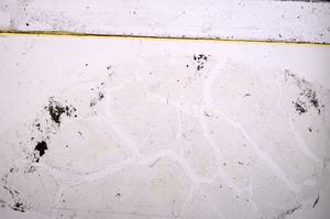 Plane Polarized, E41357