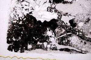 Plane Polarized, E41359