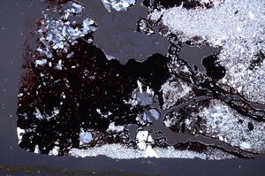 Cross Polarized, E41359