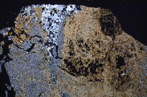 Cross Polarized, E41367