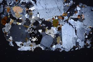 Cross Polarized, E41368