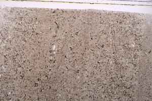 Plane Polarized, E41407