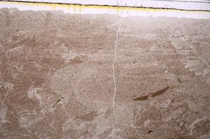 Plane Polarized, E41436