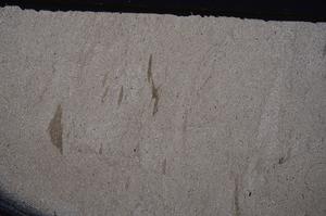 Cross Polarized, E41437