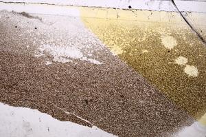 Plane Polarized, E41441