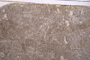 Plane Polarized, E41508