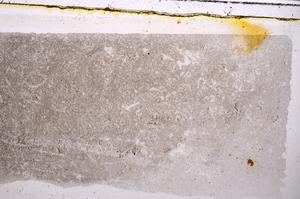 Plane Polarized, E41512